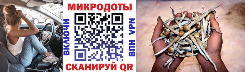 где можно купить Усть-Катав Псилоцибиновые грибы мицелий